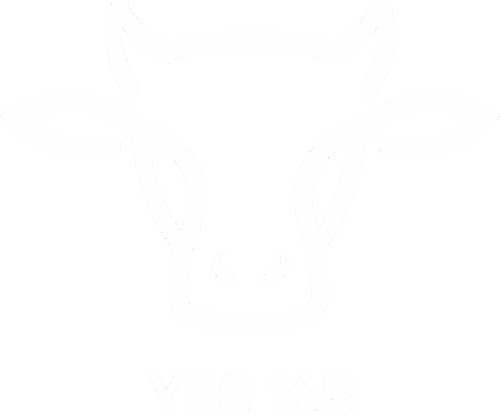 YES 168