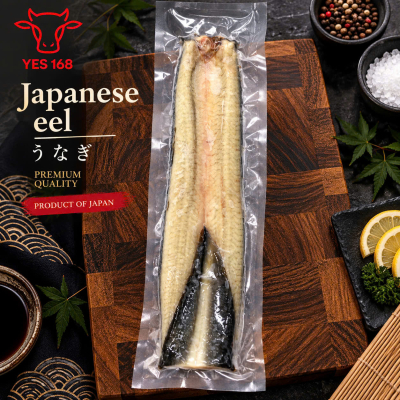 Phi lê lươn Nhật đông lạnh - Frozen eel fillet